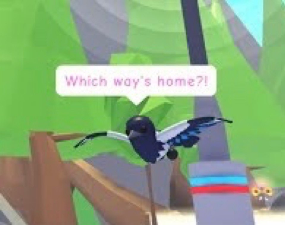 FIRST LOOK at the upcoming Magpie.