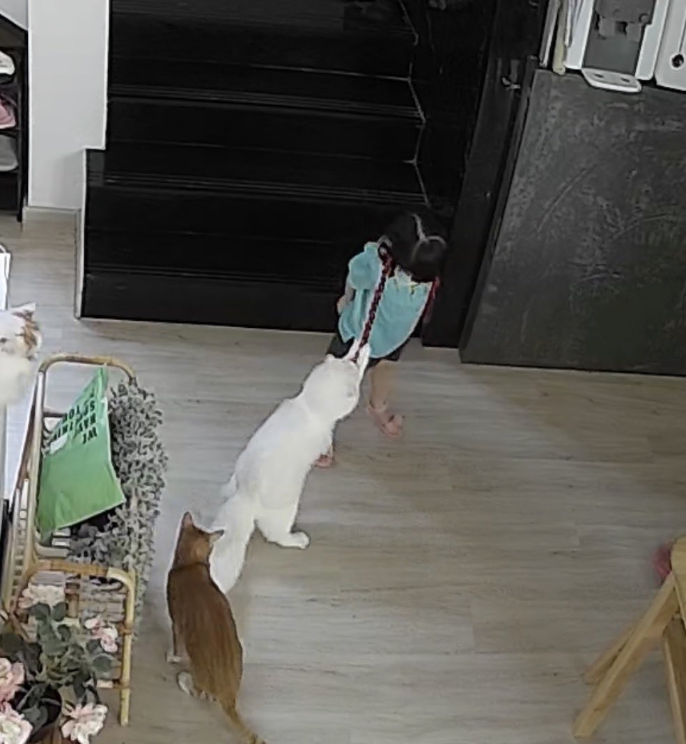 Bonusiie's tweet image. จริงๆ