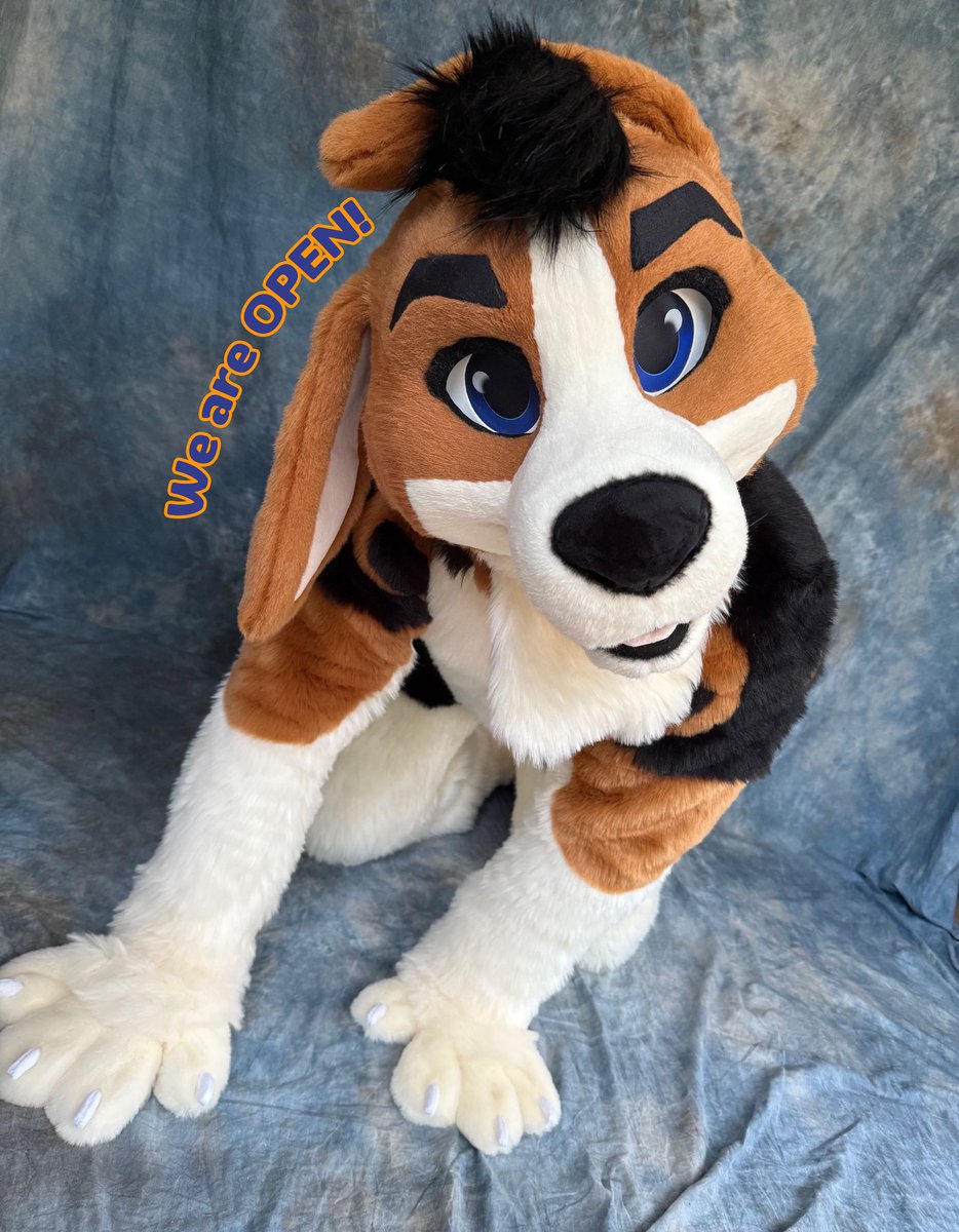 Blue Harbor 🌊⚓️ tweet media