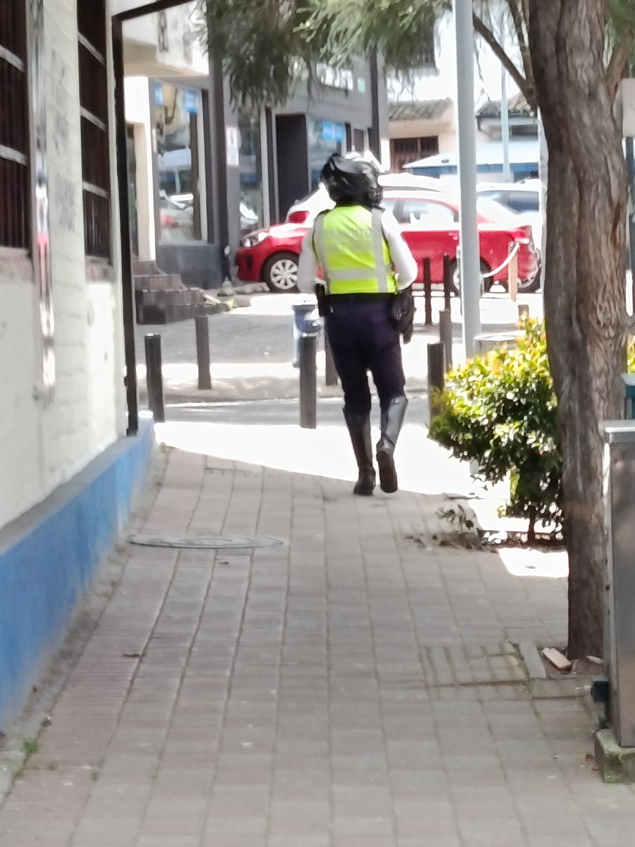 estrategia593's tweet photo. @AMT_Quito sarta de vagos dedicados a sacarle plata a la ciudadanía! En lugar de controlar a los #buseros irresponsables! @pabelml @hojaderutaec @Teleamazonas24H @comunidadquito @freddyb https://t.co/2HWIEDJACf