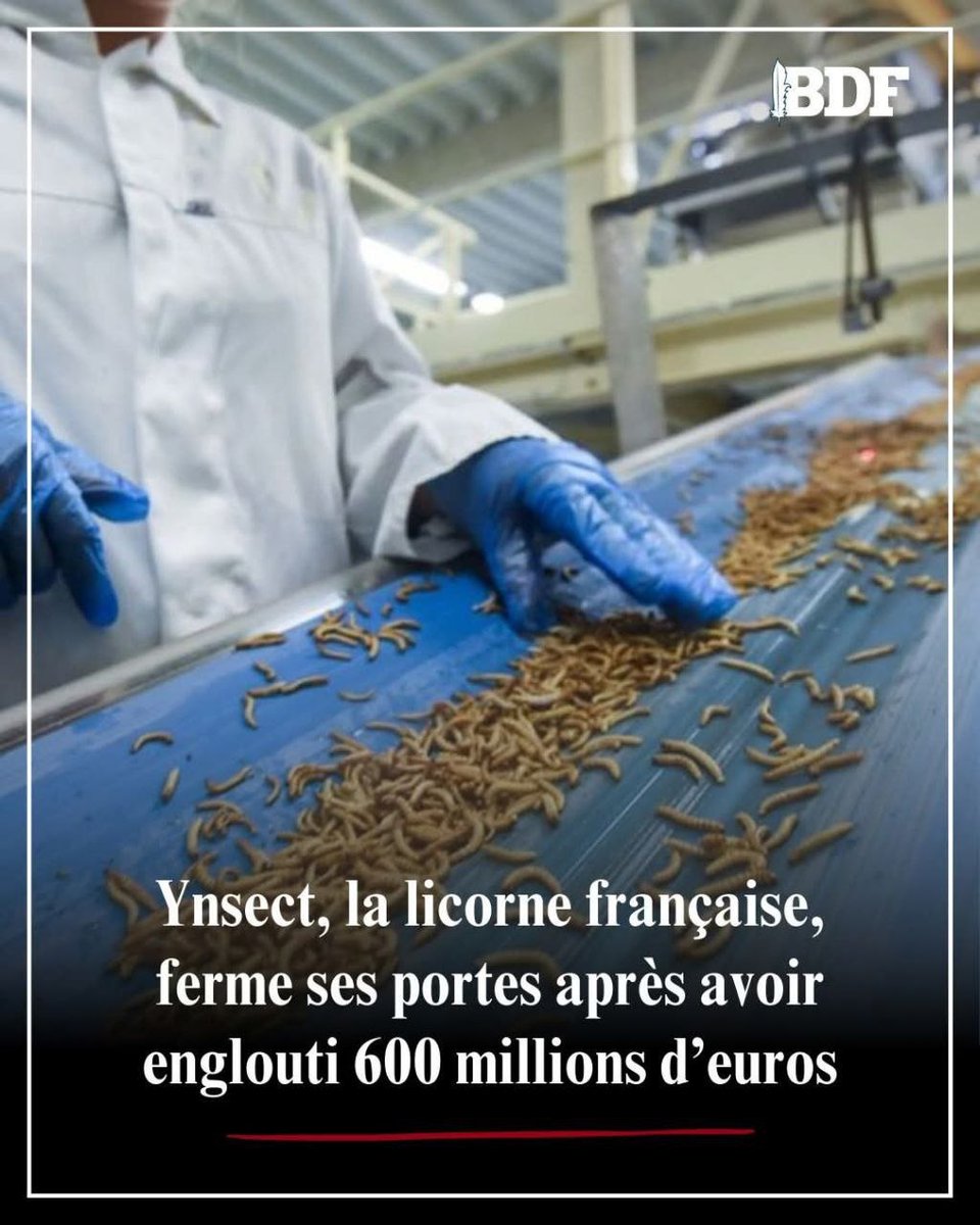 🟥🟩 DOSSIER ALIMENTAIRE : L'USINE YNSECT FERME SES PORTES

Clairement les français ne veulent pas se nourrir de cafards !! Même pour les animaux !!!???

Si c'est culturel dans certaines parties du monde, c'est loin d'être le cas chez nous ! D'ailleurs c'est plutôt bon signe pour