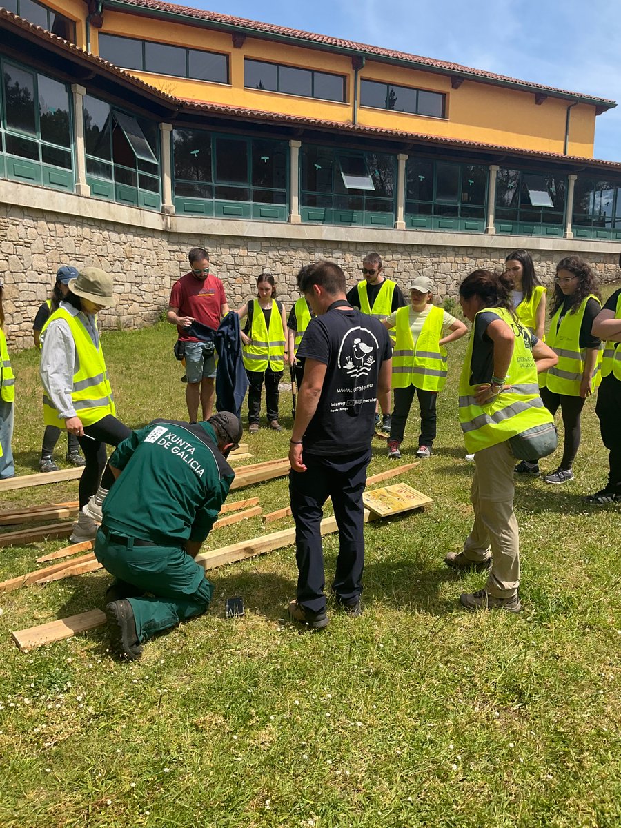 Iberalex_Poctep's tweet photo. En 2025, el equipo gallego de IBERALEX (USC+Dirección Xeral de Patrimonio Natural) siguió trabajando intensamente en la conservación del chorlitejo patinegro en el único enclave de nidificación del sector cantábrico-atlántico.
Seguimiento, protección, divulgación e investigación https://t.co/VCgmoqkkvb