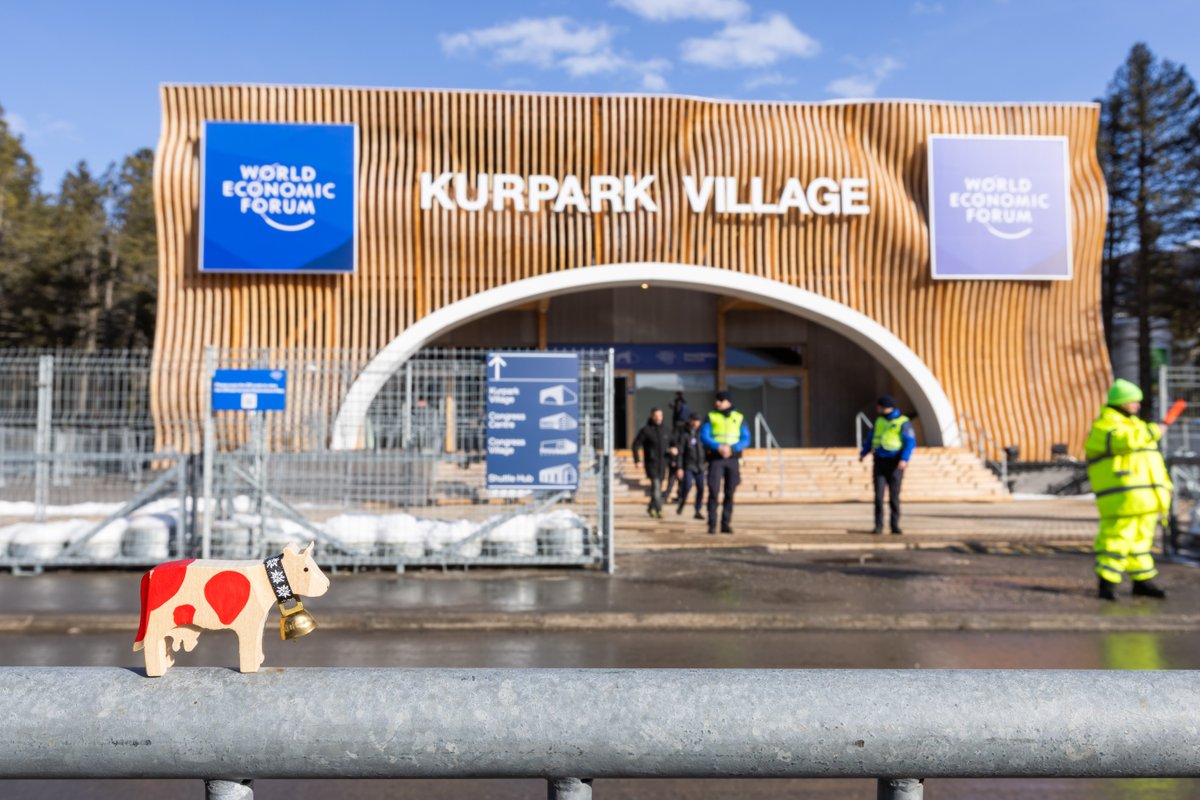 Happy Lilly tweet media