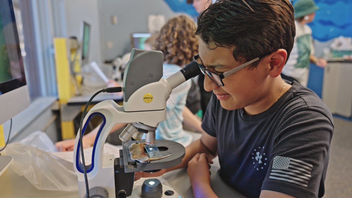 Catalina Island Marine Institute tweet media