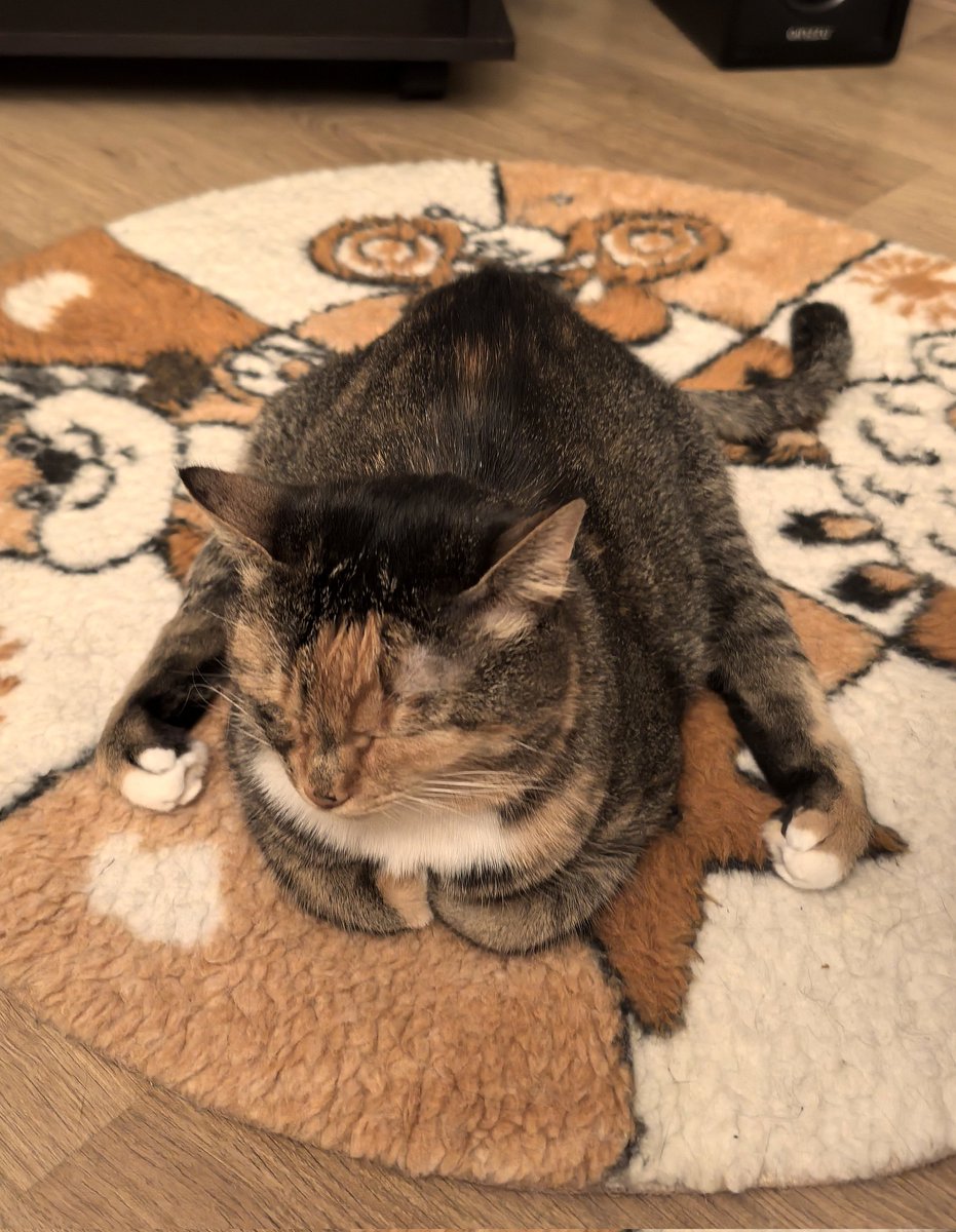 Разложила лыжи