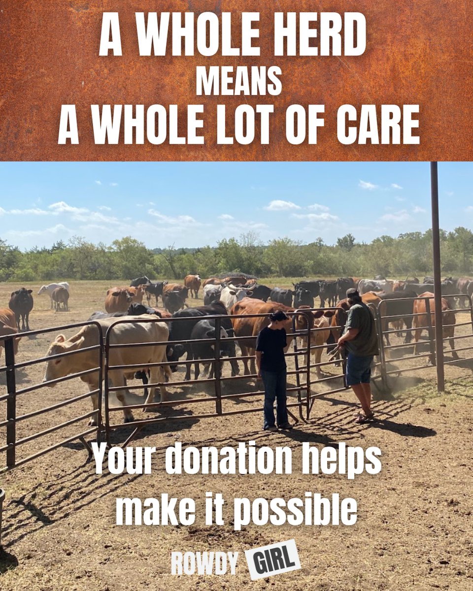 What can $50 do? If 1,020 of us show up, we finish the Medical Treatment Facility — together. We’re just $51K away, and every gift is doubled through Jan 31. This isn’t about one big gift. It’s about shared compassion. Donate, help us finish strong tinyurl.com/5ydadw7m