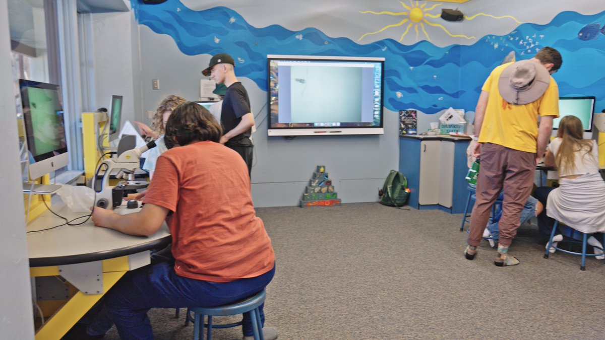 Catalina Island Marine Institute tweet media