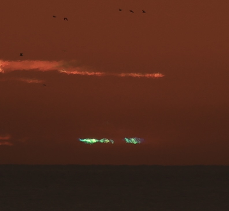 Dustin Mulvaney tweet media