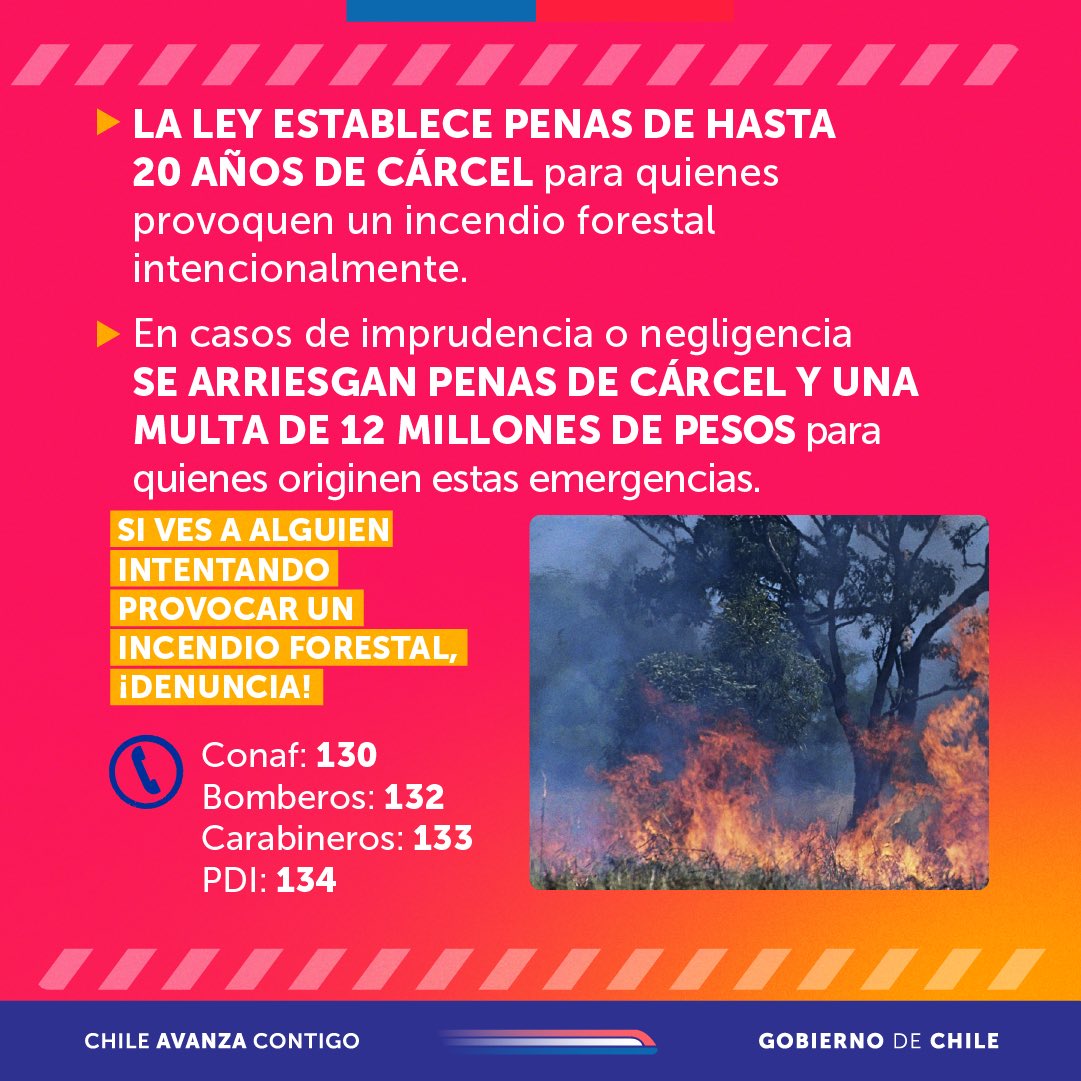 Tu llamado es clave para las investigaciones.

Si tienes información sobre los responsables de un incendio, repórtalo al *4242 de #DenunciaSeguro ☎️ Es 100% anónimo y funciona 24/7.