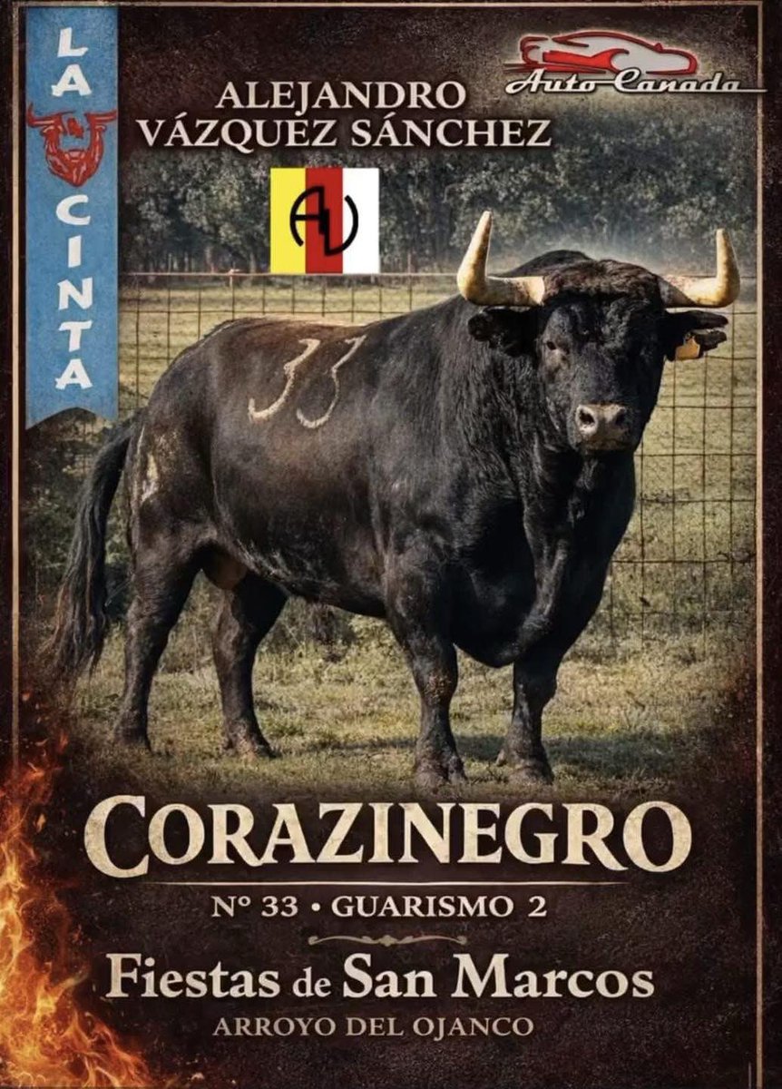 Corazinegro, de la ganadería de Alejandro Vázquez Sánchez, adquirido por la Peña La Cinta para San Marcos 2026 en Arroyo del Ojanco (Jaén).