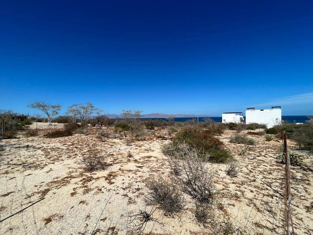 Marthacabo's tweet photo. 🔥 Hot lot alert! Just steps from the Sea of Cortez, this fenced 10,500+ sq ft lot in El Sargento is ready for your dream build. Walk to the beach, shops, &amp; adventure! Don’t miss out—details: https://t.co/54jgn7THRg #BajaDeals #BeachLot https://t.co/Wr9s9dtCKt