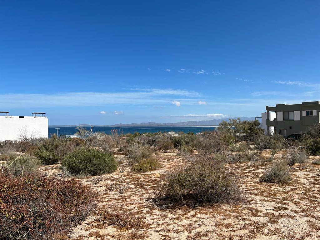 Marthacabo's tweet photo. 🔥 Hot lot alert! Just steps from the Sea of Cortez, this fenced 10,500+ sq ft lot in El Sargento is ready for your dream build. Walk to the beach, shops, &amp; adventure! Don’t miss out—details: https://t.co/54jgn7THRg #BajaDeals #BeachLot https://t.co/Wr9s9dtCKt