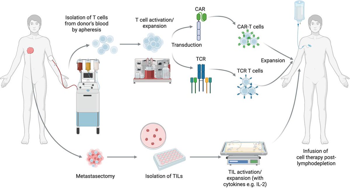 Journal for ImmunoTherapy of Cancer tweet media