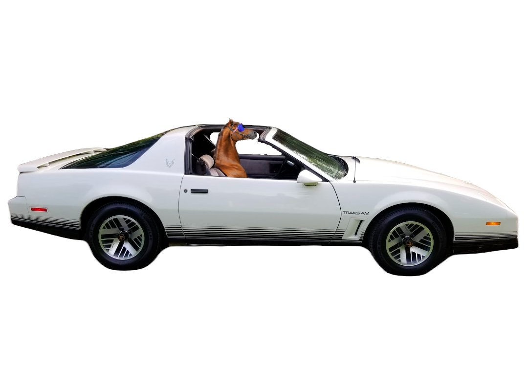 Flying Ketamine Horse tweet media