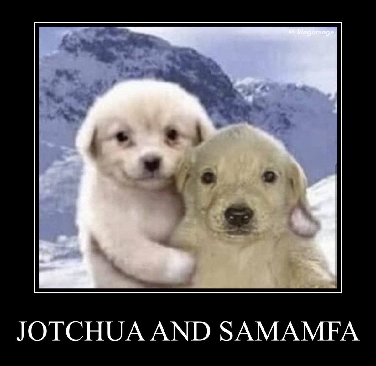 King Orange tweet media