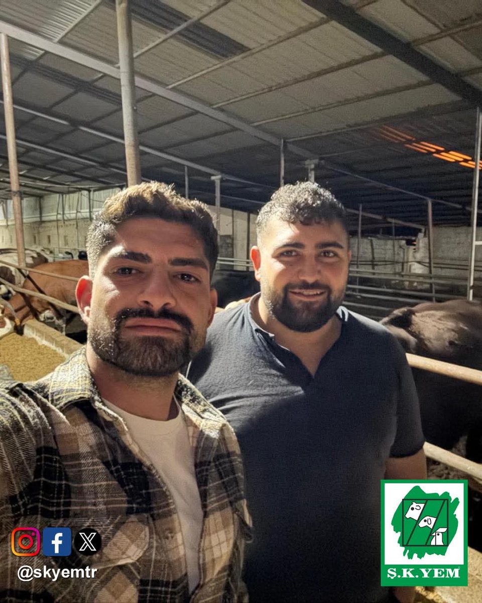 Konya, Güneysınır bayimiz Yakup Yılmaz beyin işletmesinin rutin kontrollerini yapıp, rasyonlarını gözden geçirdik. Yakup beye hayırlı işler diliyoruz. #şkyem. Bereketli olsun. #besi #süt #yem #hayvancılık #güneysınır #konya