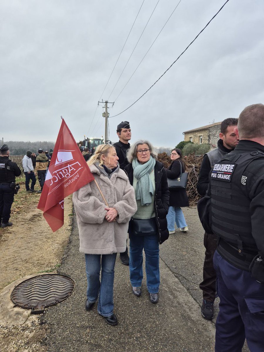 FranceLorho's tweet photo. J'étais ce matin aux côtés des viticulteurs du Vaucluse et de la Drôme qui manifestaient devant les négociants pour dénoncer les  prix des vins en Côtes du Rhône.

Ils ont tout mon soutien !

#fdsea #jeunesagriculteurs #cotesdurhone https://t.co/gL60JLLFMV