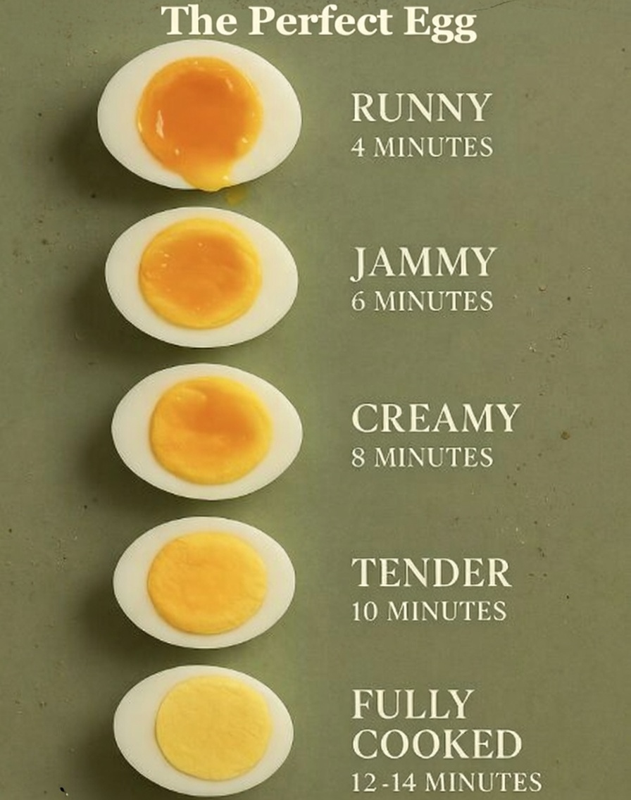 bodymindforge's tweet image. Which one is the best? 🥚