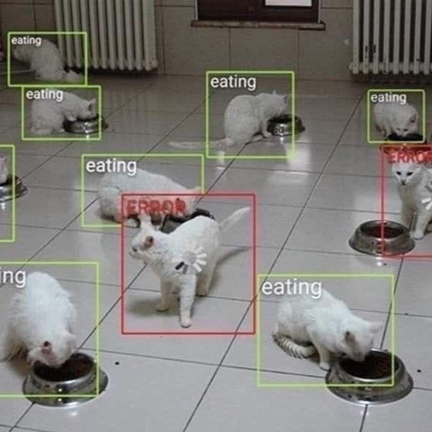 PunchingCat's tweet image. 