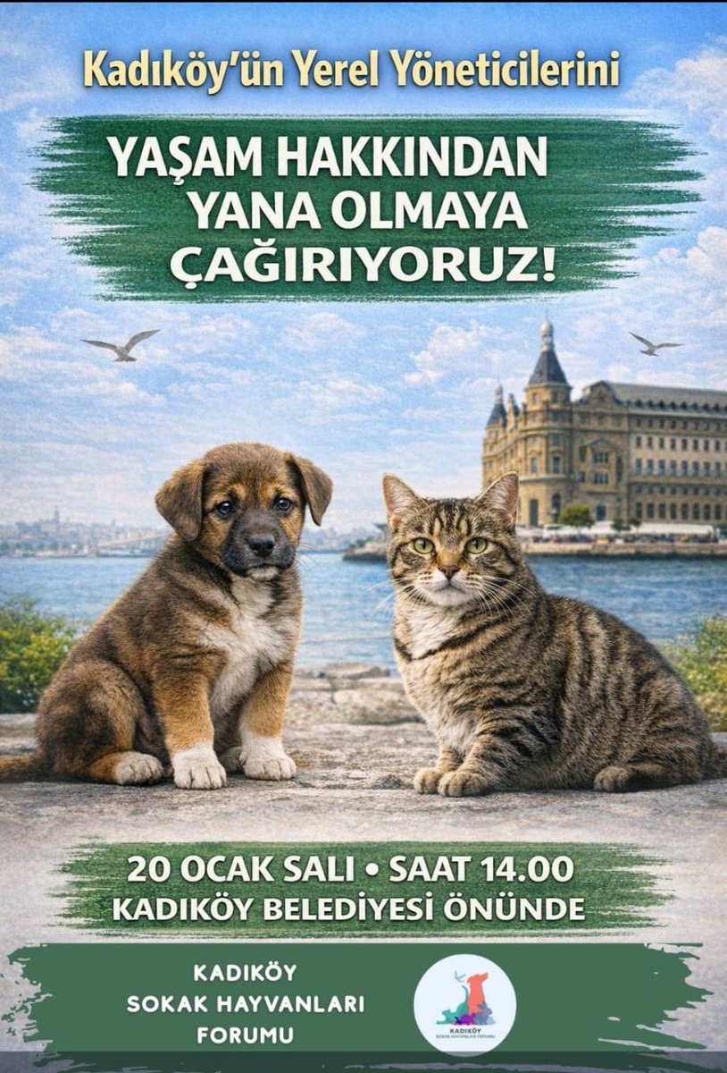 İstanbul'da olan arkadaşlar lütfen paylaşalım ❗
Hepimiz bu canlar için orda olalım 
#SokakHayvanlarıSahipsizDeğil