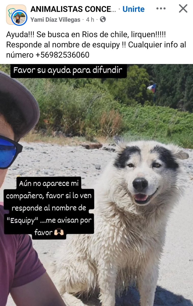 SOS Animales tweet media