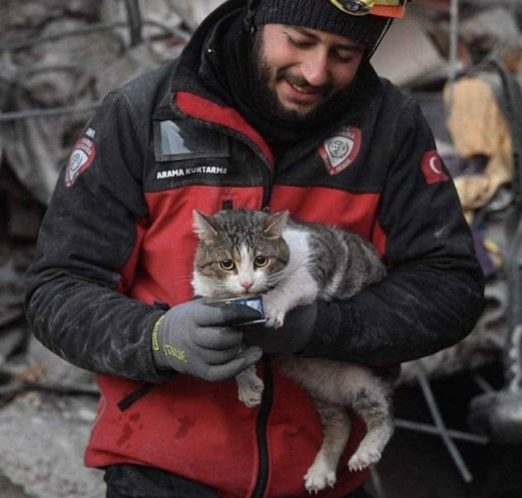 6 Şubat depreminden günler sonra enkazdan oğluyla birlikte çıkarılan kadın:
“Kedi bizi ısıttı, sürekli üstümüze yattı ve bize sarıldı yoksa soğuktan donardık.” Demişti. Bu hayvanlarla tek taraflı kavgası olan bir lokmayı kulübeyi çok görenler yaşattıklarınızı yaşamadan göçmeyin