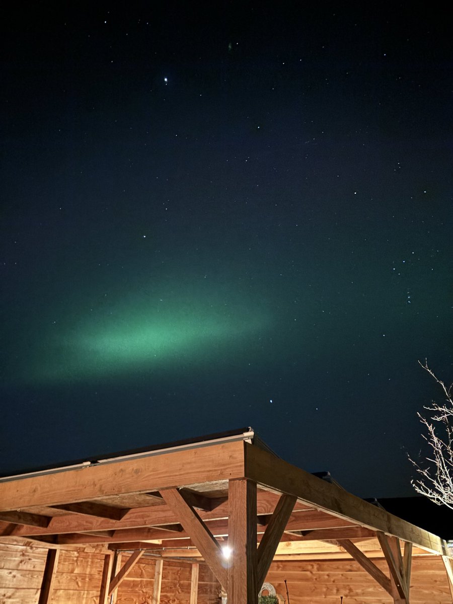 Bianca Habing tweet media