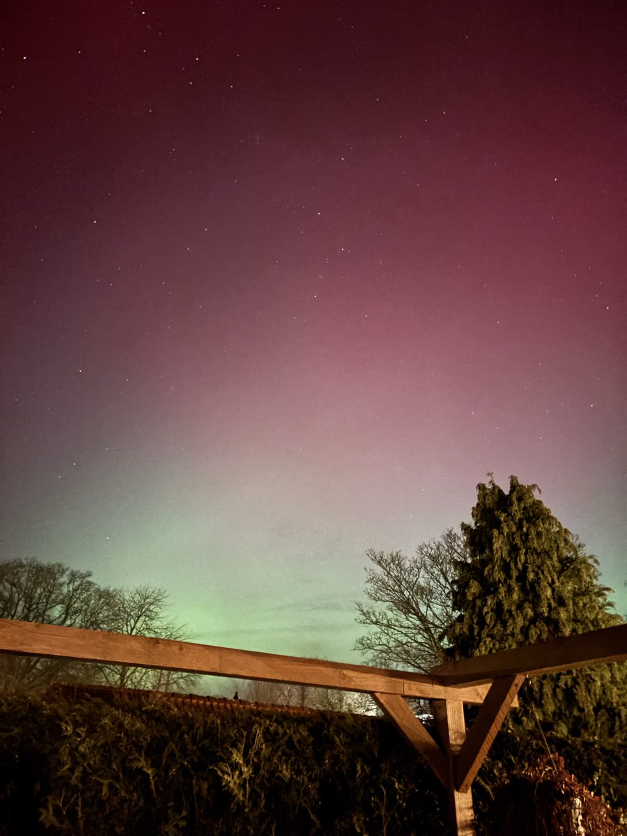 Bianca Habing tweet media