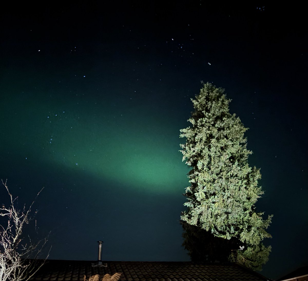 Bianca Habing tweet media