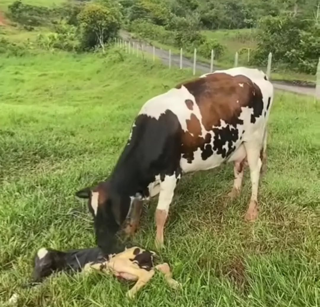 Lo bueno entre tanto caos... Gracias Dios por tanto y por todo