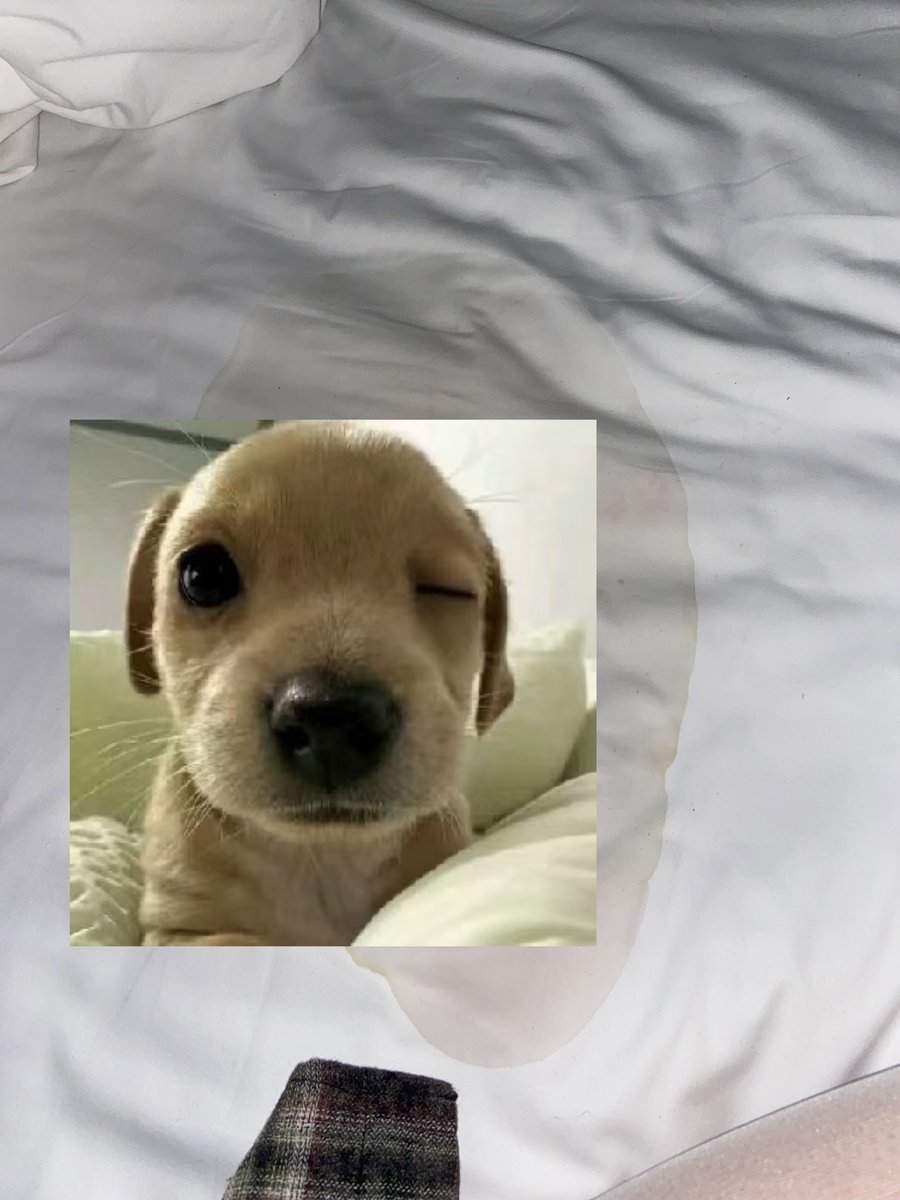 能不能别出血了 我啥意思