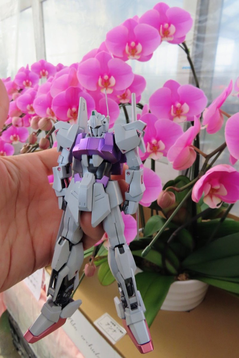 シトリー😈 (@9CgRohn1ZObaT7q) / Posts / X