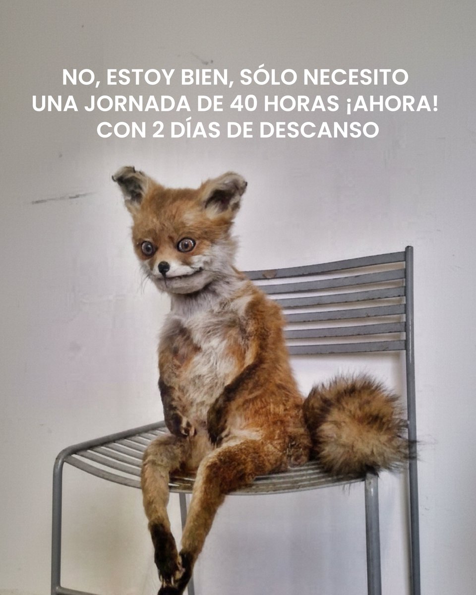 MovCiudadanoMX's tweet image. Ayuda, esto no es un meme. 👀