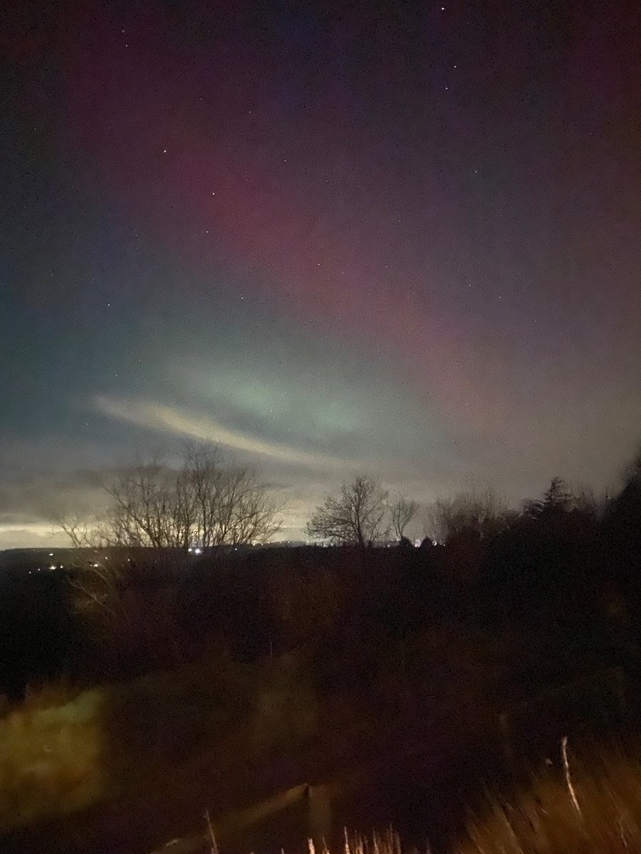 Johann Doorley tweet media