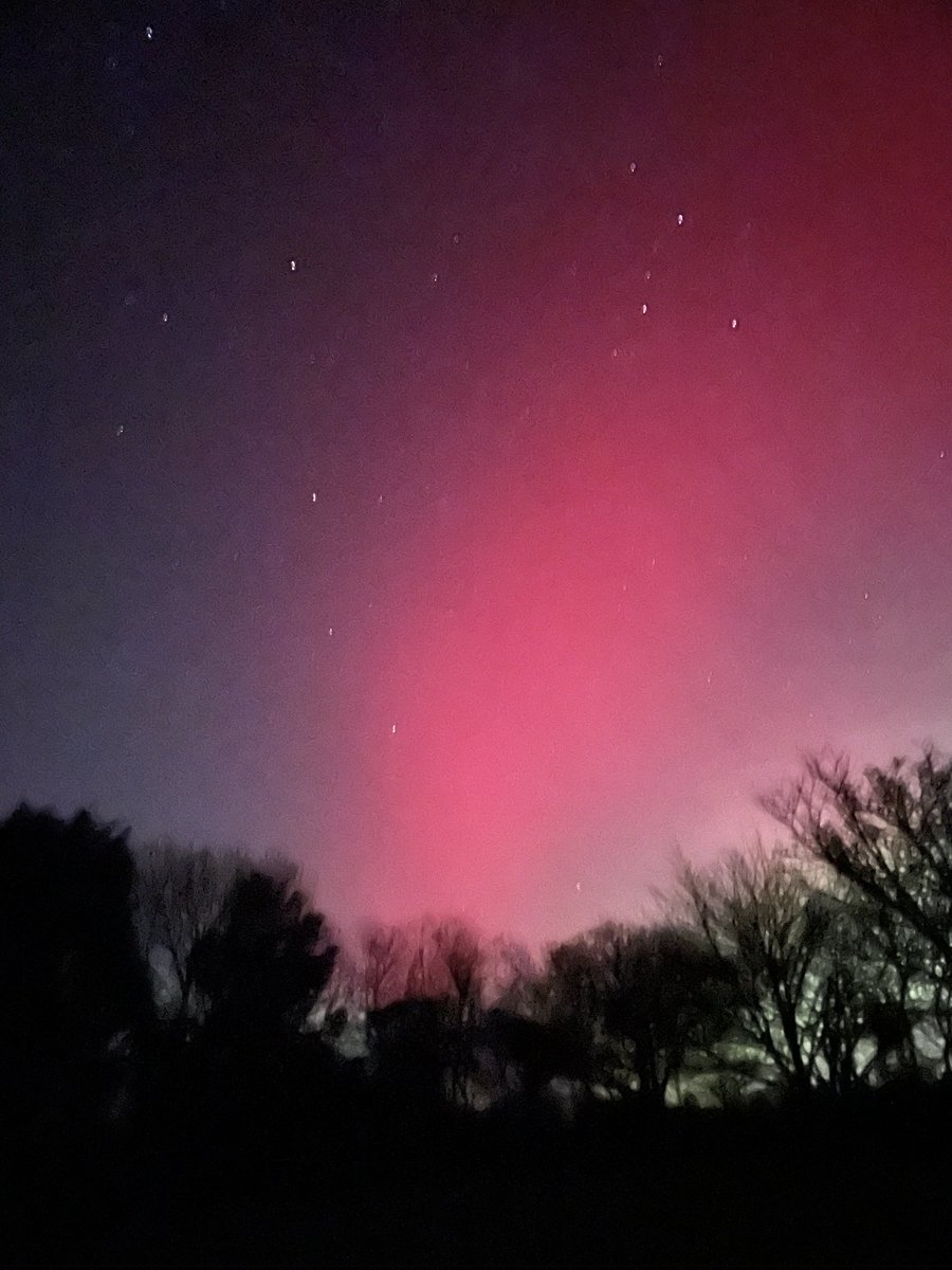 Sara's Cottage tweet media