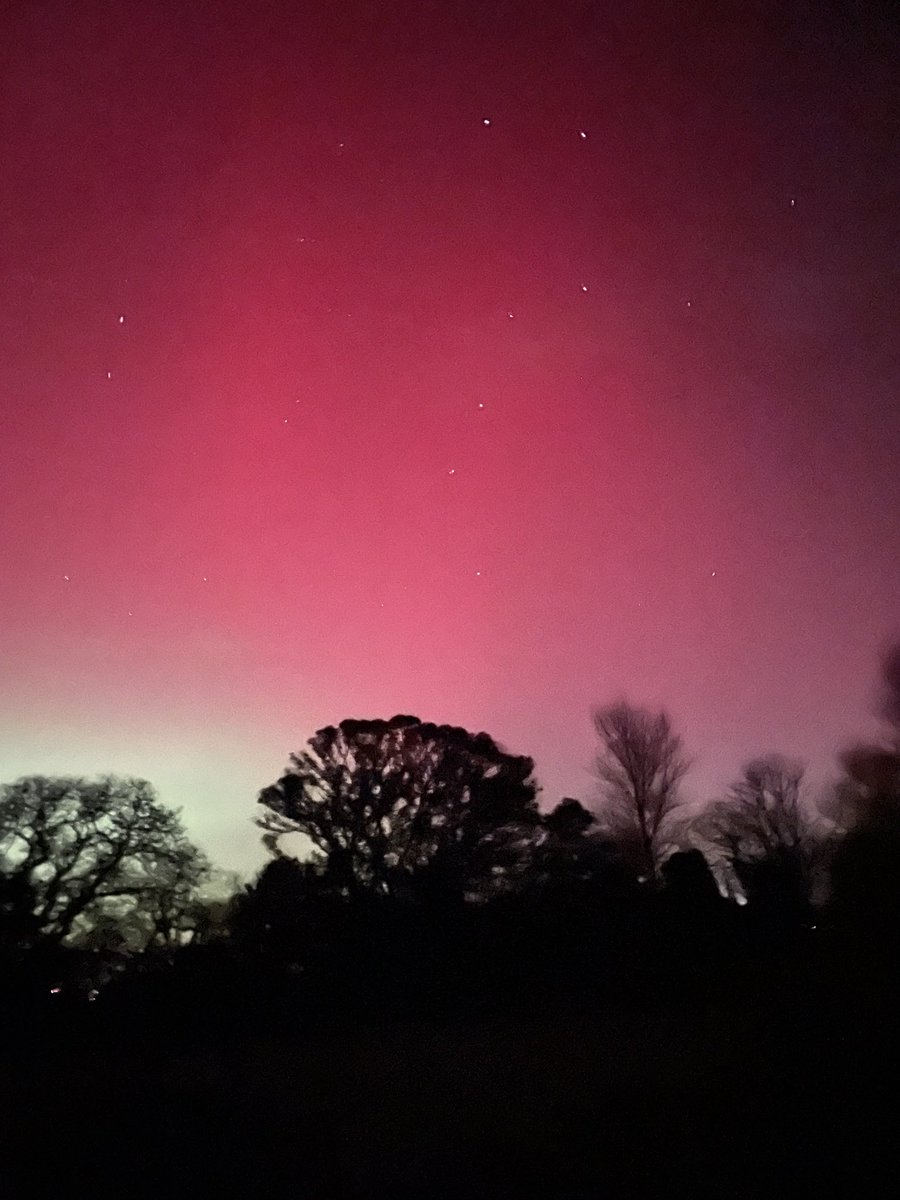 Sara's Cottage tweet media