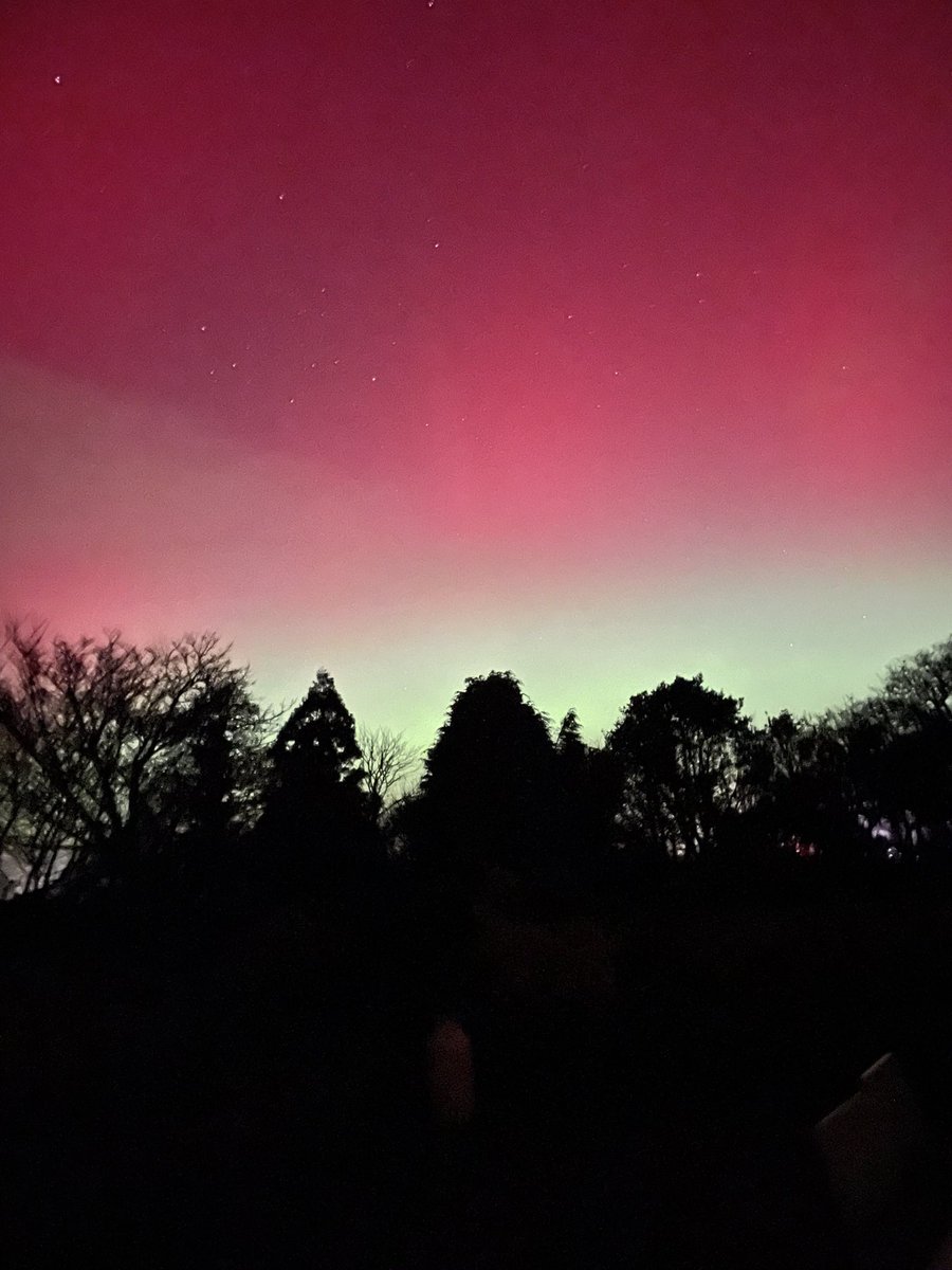 Sara's Cottage tweet media