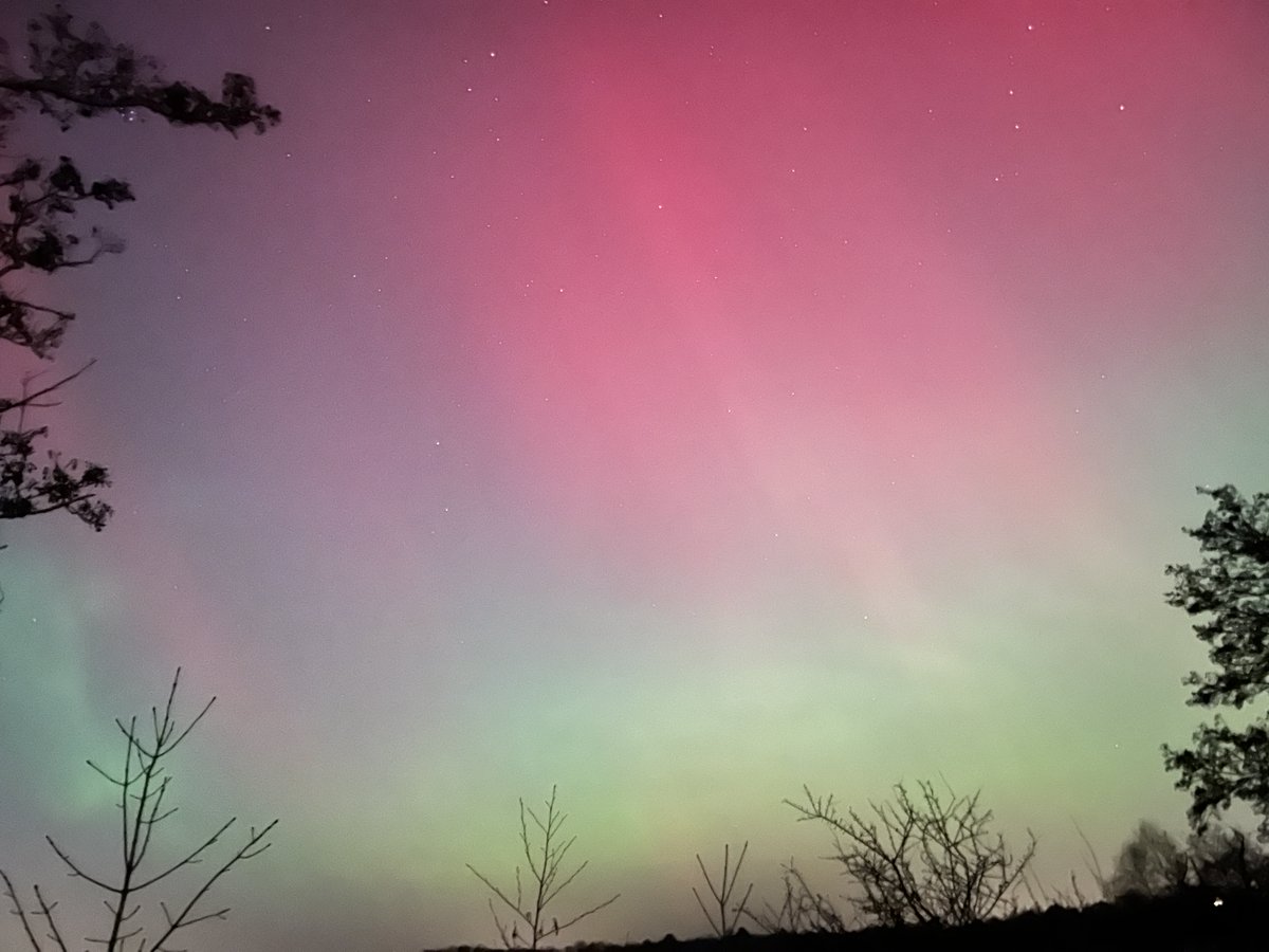 Pico4783 tweet media