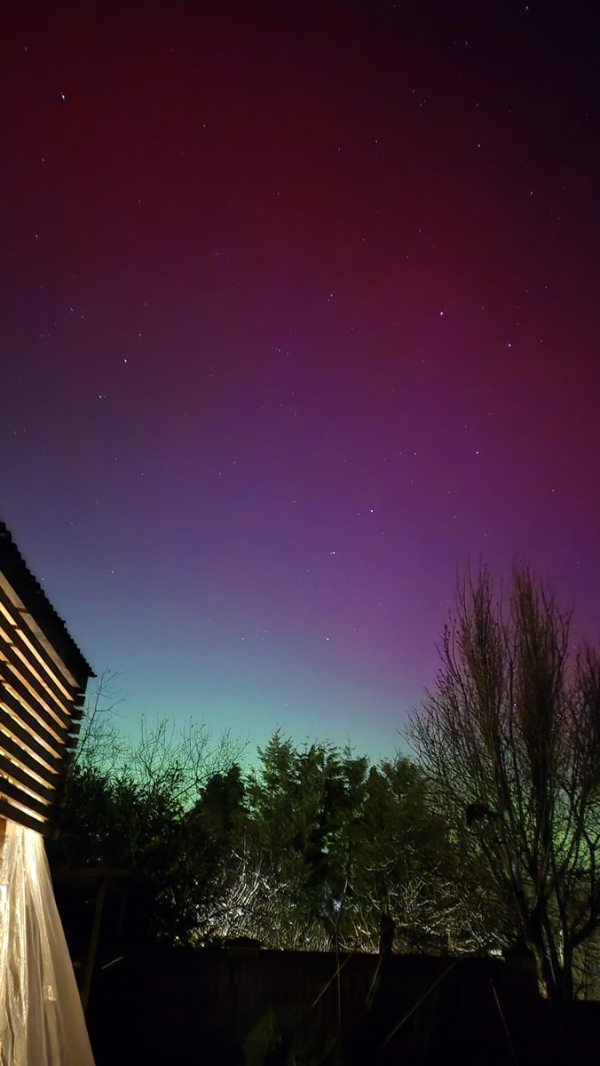 Ger Corbett tweet media