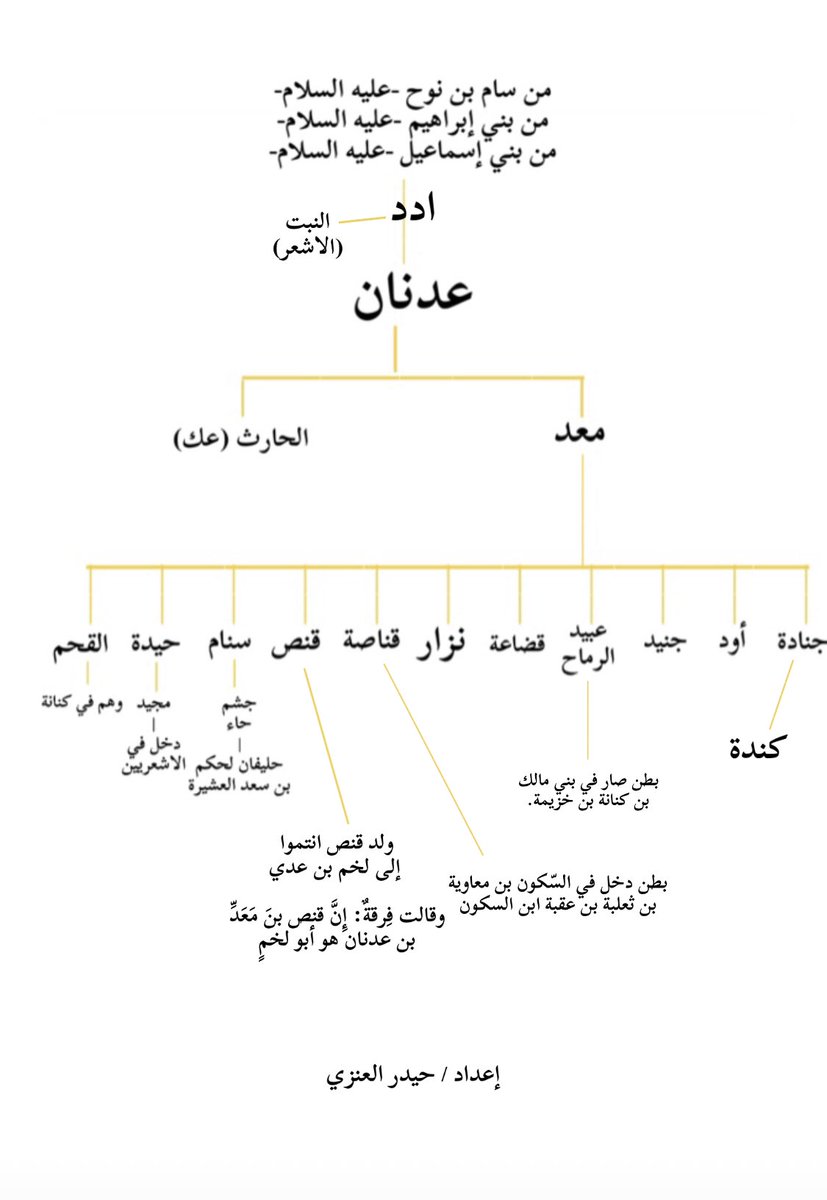 مشجرة #عدنان بن #ادد