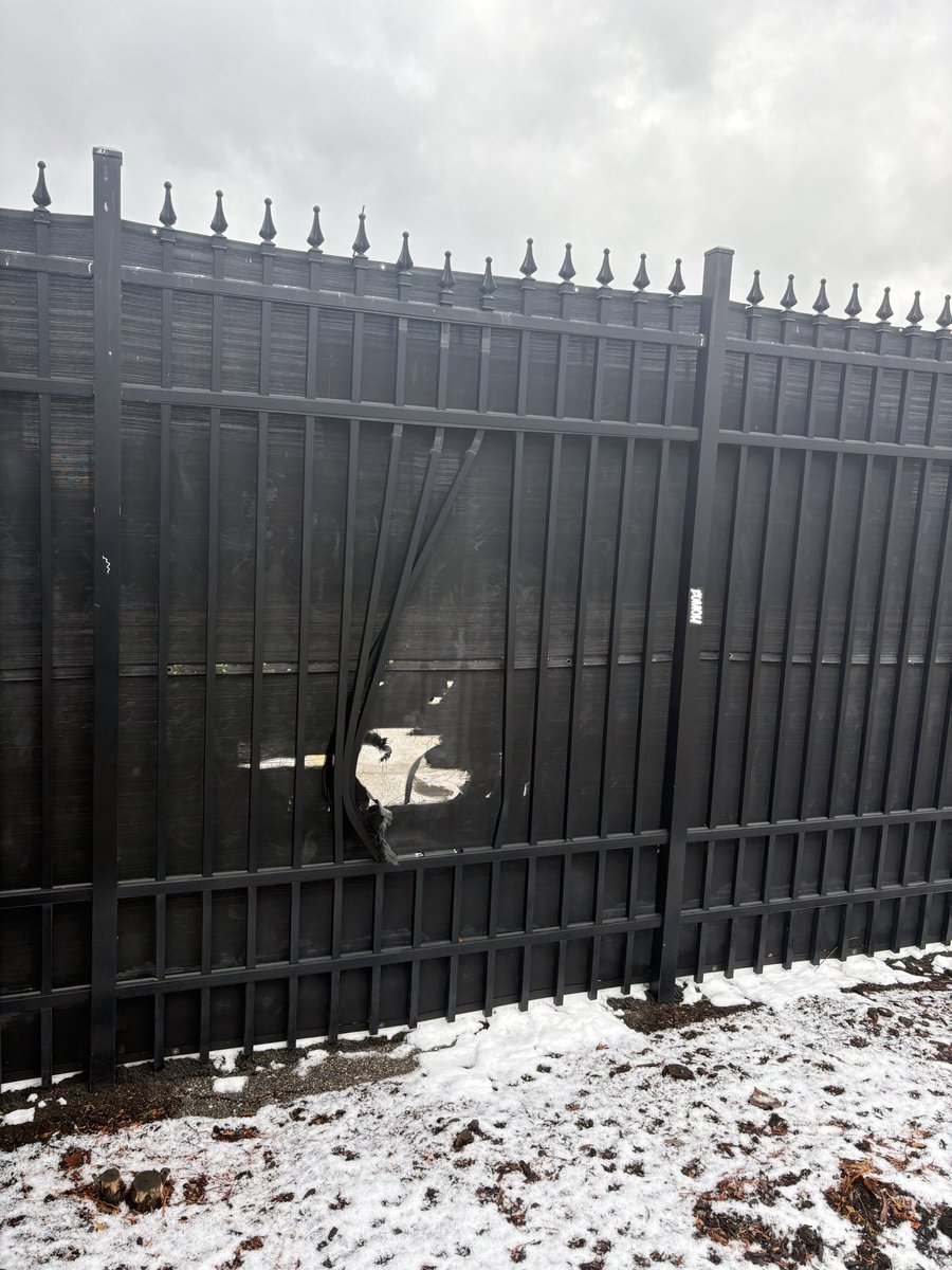 MasterDroo's tweet image. Fellas… $20 cover, but if you go around back, my guy Vinny will slip you in for $5