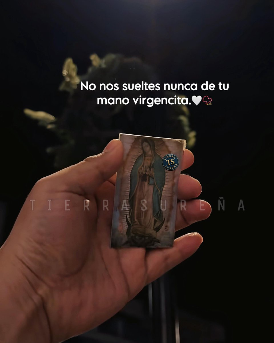 Bandidosfrases's tweet image. 