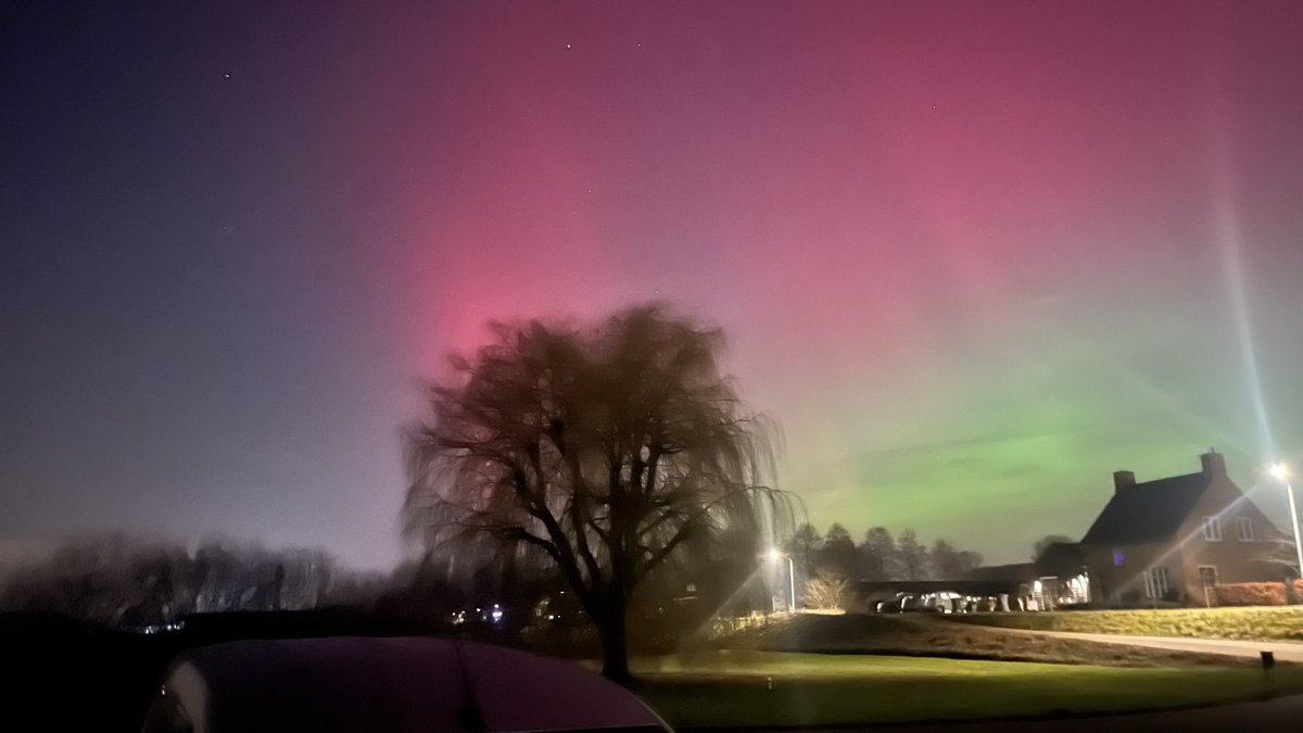 kees vermue tweet media