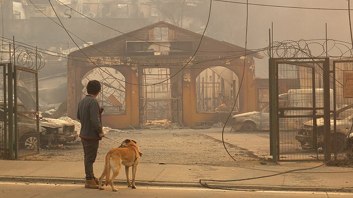 TarquinoPaspala's tweet photo. Boric llama a aprobar la ley de incendios, le puso urgencia y el senado no quiere discutirla. En esa ley se estipulan las normas, procedimientos, recursos.. y q no se puedan usar los terrenos quemados para desincentivar a los "compradores" q inducen las quemas para pagar barato. https://t.co/dSzTKh0Qku