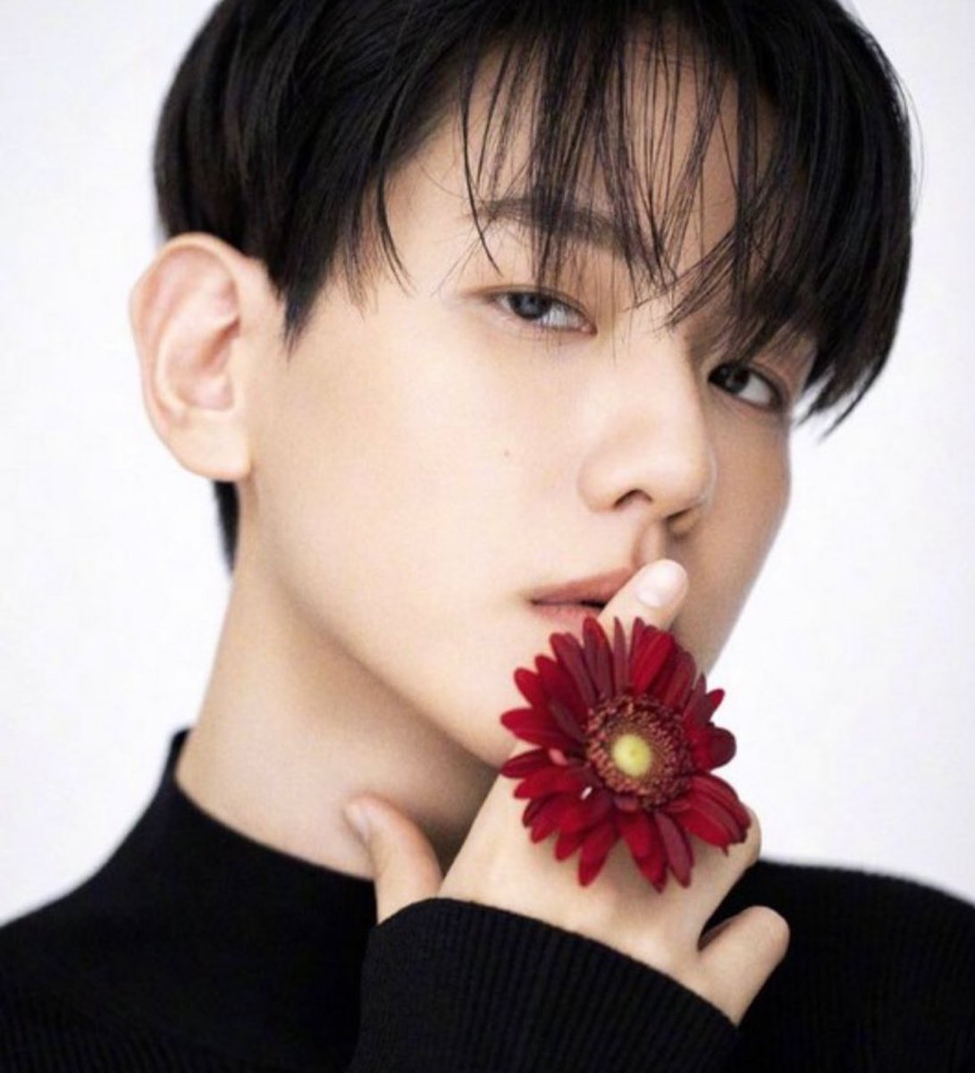 ･*:.｡ ｡.:*･ﾟ✽.｡.:*・ﾟ
여러분 안녕하세요☀️
오늘도　백현 💝