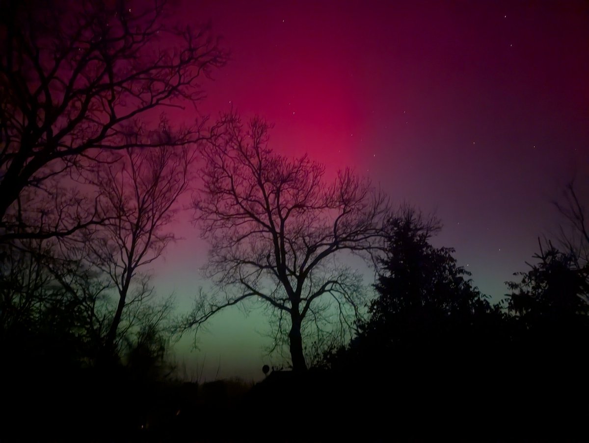 tomee6's tweet photo. Oh wow, really strong northern lights right in my yard! https://t.co/A4oAQvOiTB