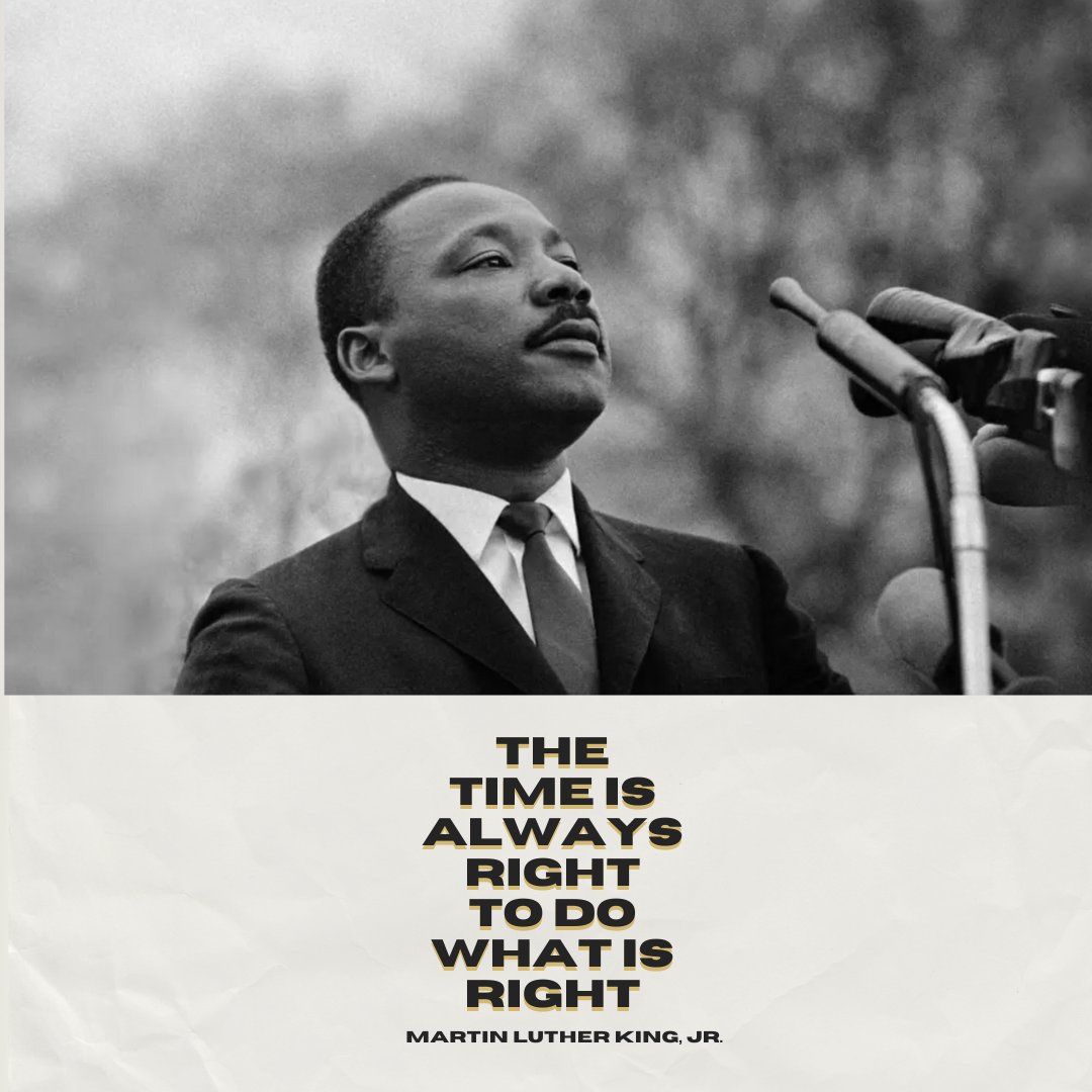 Allen Media Group tweet media