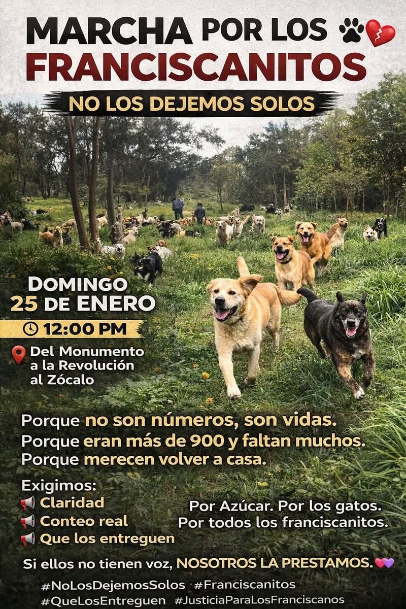 Ange_De_Verite's tweet photo. #RefugioFranciscano #TodosSomosFranciscanos
#VivosSeLosLlevaronVivoslosQueremos #CarmelaRiveroFueTodoPorDinero #CruelaBrugadaDevuelveALaManada https://t.co/iv415R3EL4
