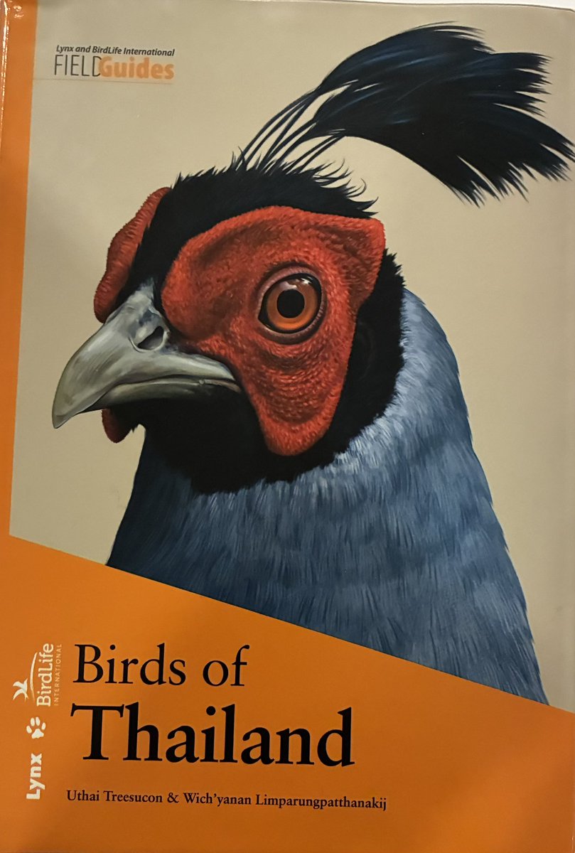 Alan Davies tweet media