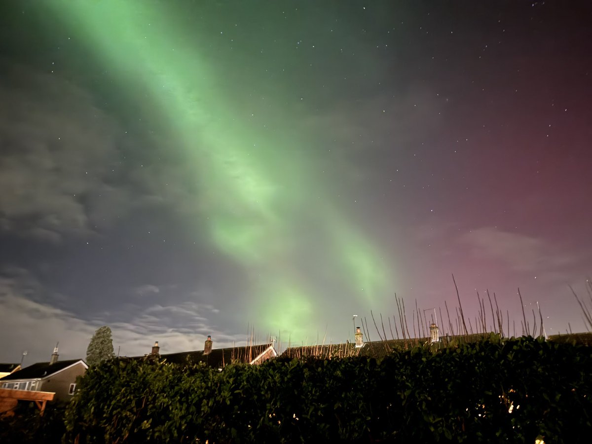 Marie J Indge tweet media